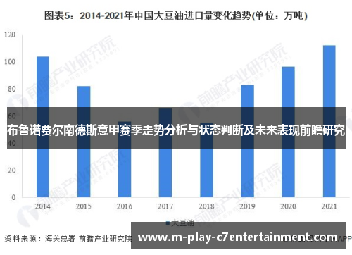布鲁诺费尔南德斯意甲赛季走势分析与状态判断及未来表现前瞻研究